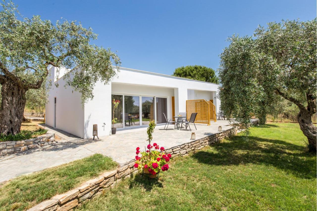 Avgoustidis Apartments Limenaria  Exterior foto